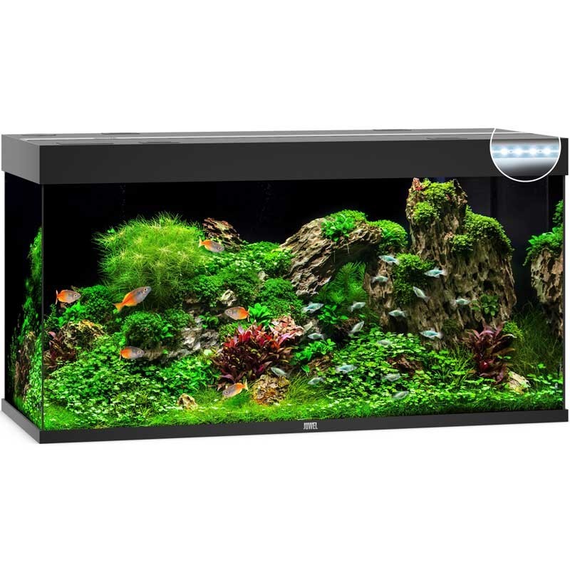 Ouate - Perlon 64 cm X 12 pour filtre d'aquarium