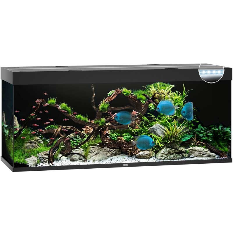Quel filtre installer dans un aquarium de 100 litres?