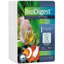 PRODIBIO BioDigest PRO - 10 Ampoules