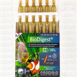 PRODIBIO BioDigest - 12 Ampoules