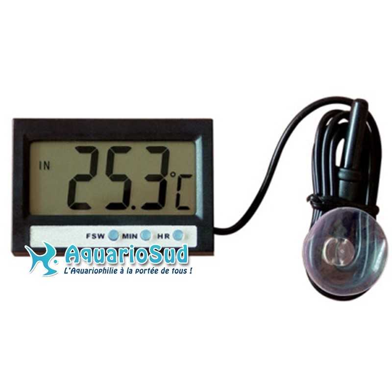 Thermomètre électronique numérique