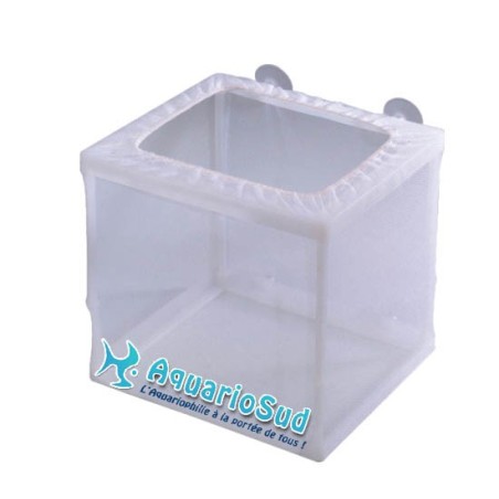 Isoloir, séparateur à simple compartiment pour poissons
