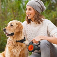 Promenade pour chien